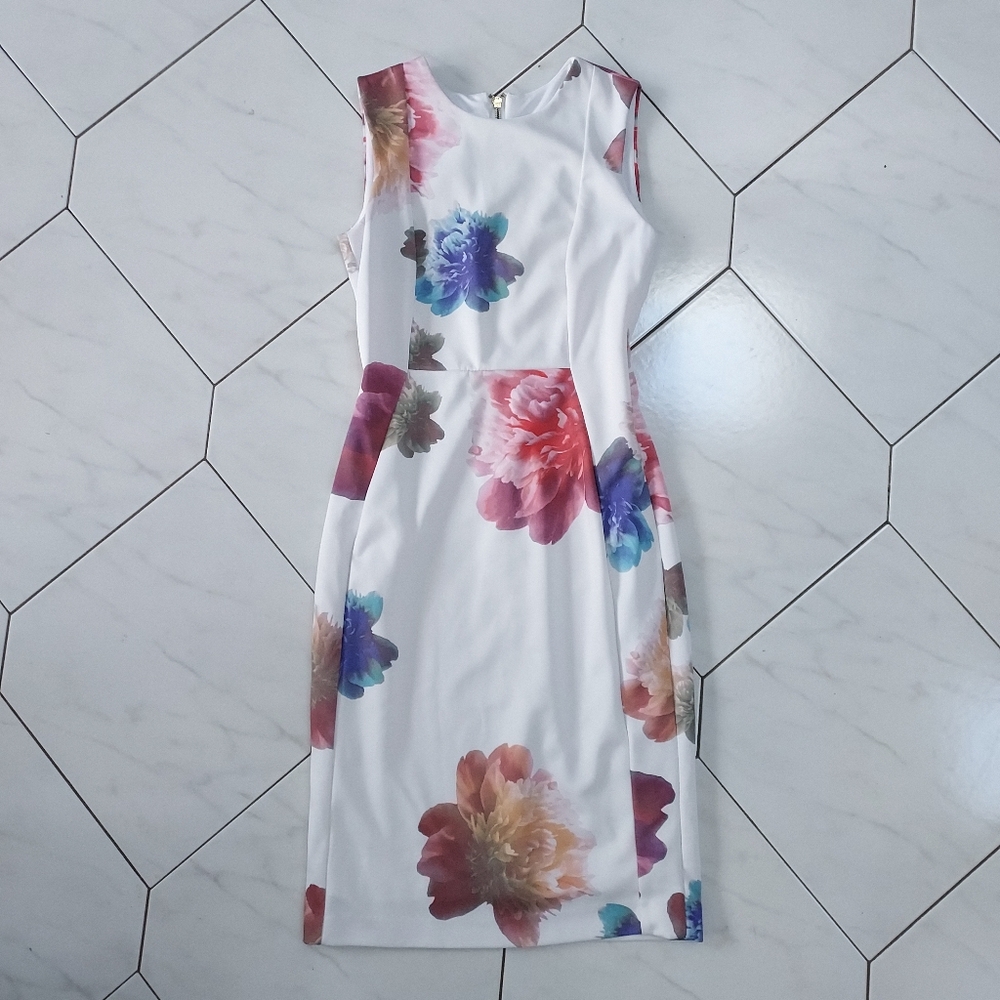 Calvin Klein Blue and Pink Floral Dress Size 2